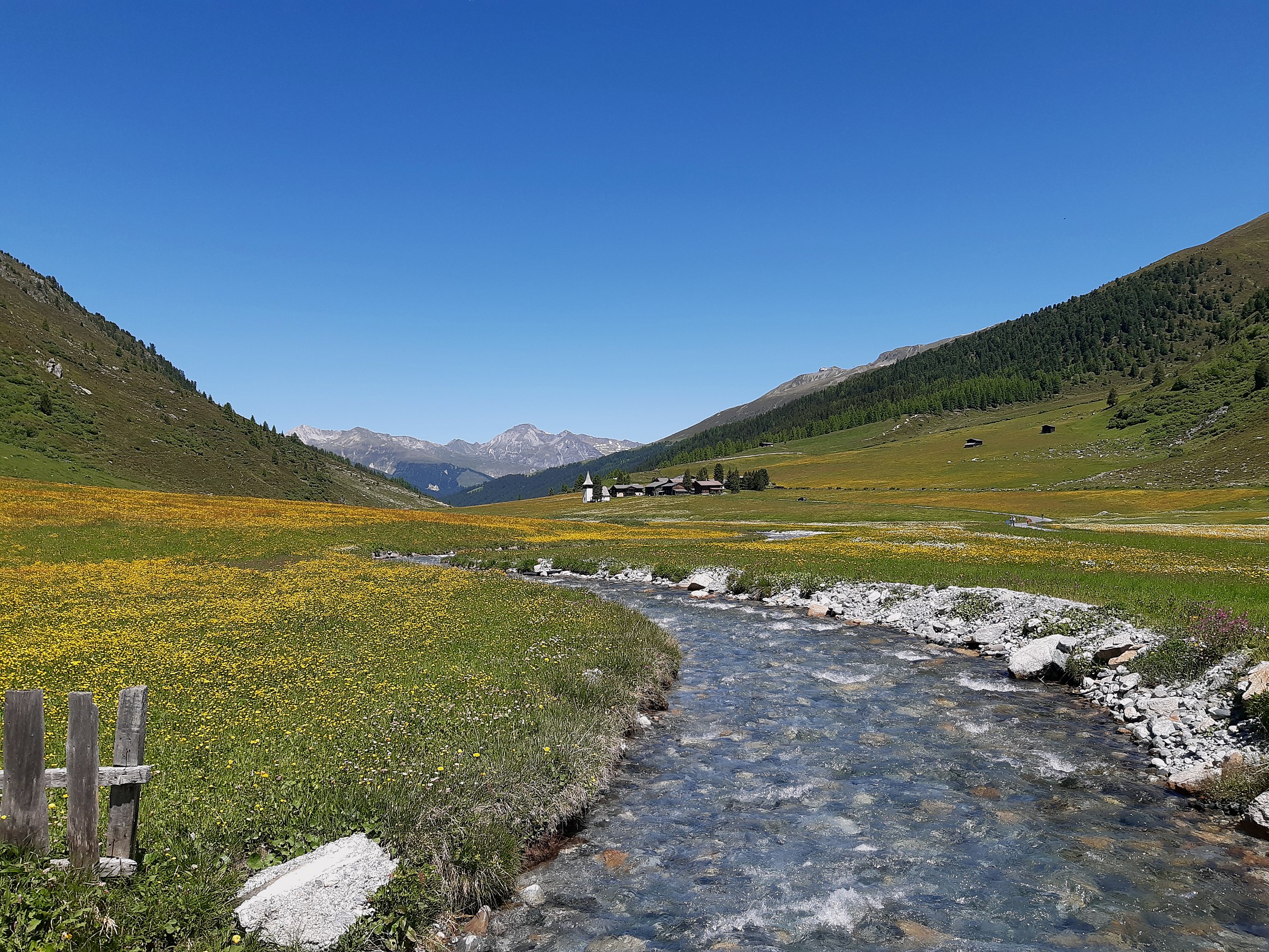 Torrenti del bacino della Val Soana fra i massi